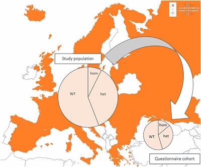 Allele frequency of a genetic risk variant for necrotizing meningoencephalitis in pug dogs from Europe and association with the clinical phenotype